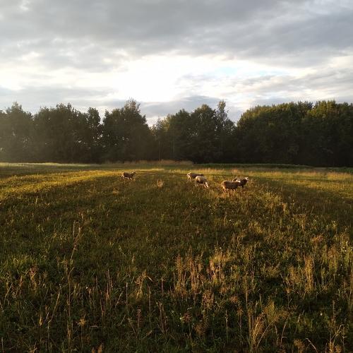 Photo #3995908