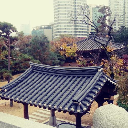 Photo #3995966