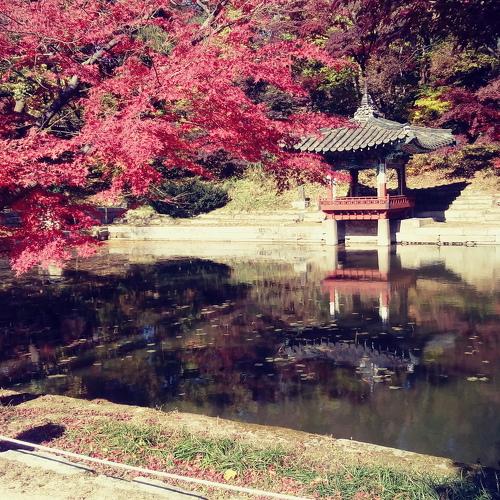 Photo #3995968