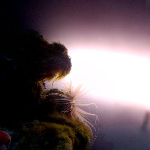 Photo #3995996