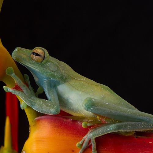 Photo #3996752