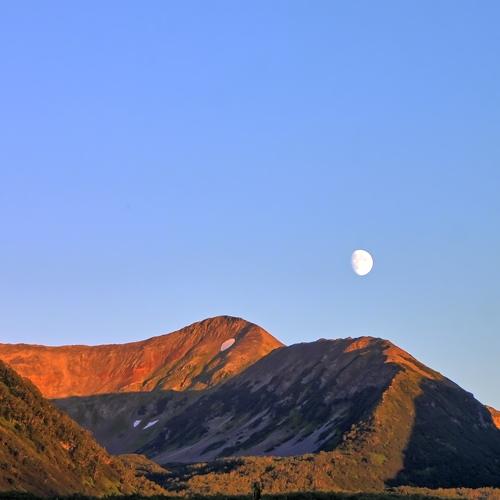 Photo #3996775