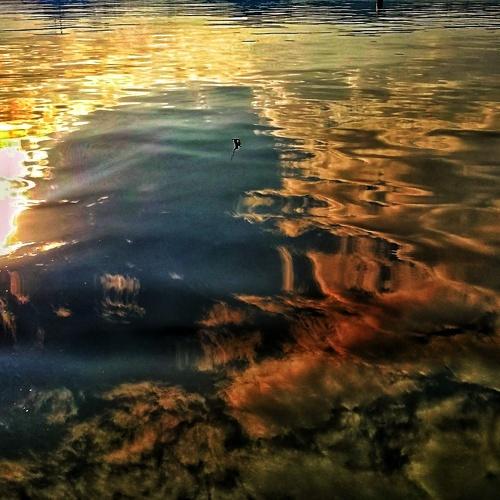 Photo #3996786
