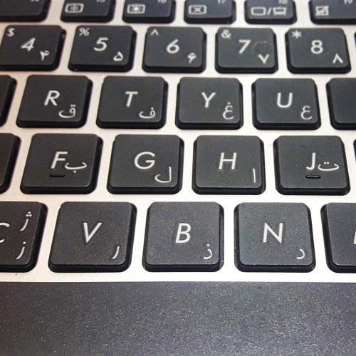 Photo #3997113