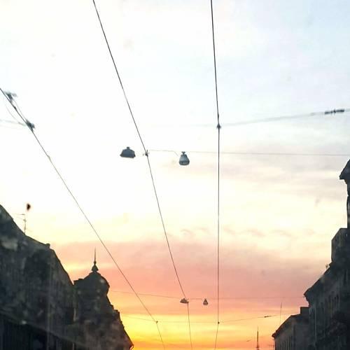 Photo #3997267