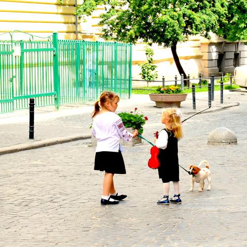 Photo #3997344