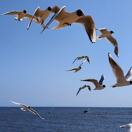 Photo #3997653