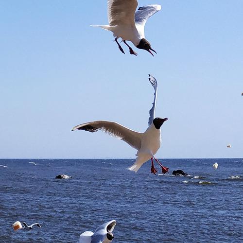 Photo #3997720