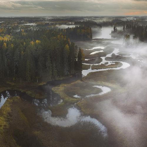 Photo #3997784