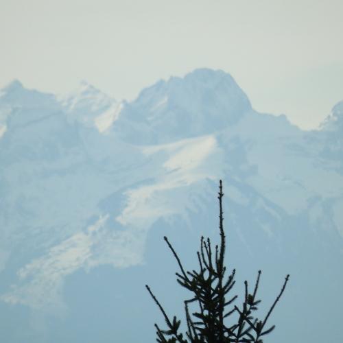 Photo #3997791