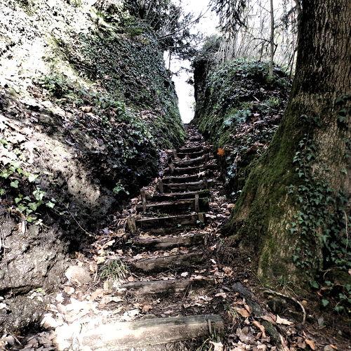 Photo #3997890