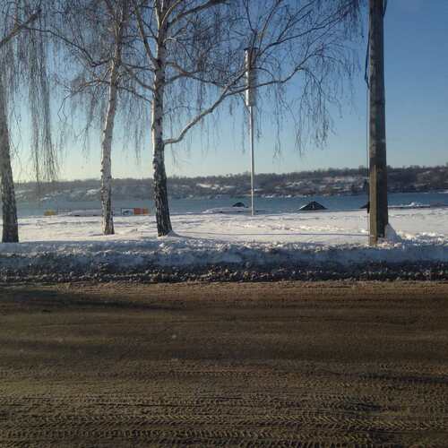 Photo #3997899