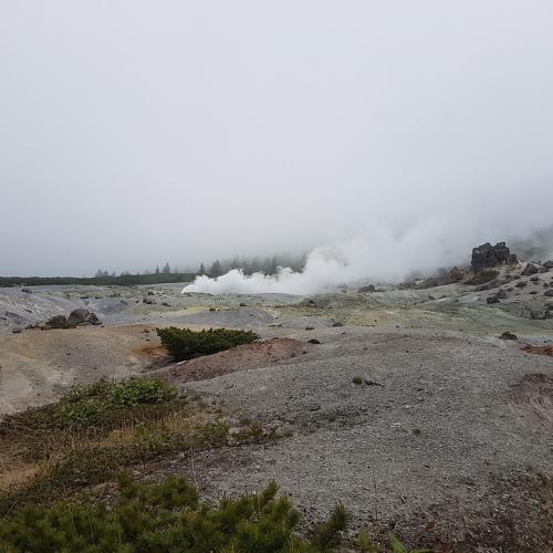 Photo #3998256