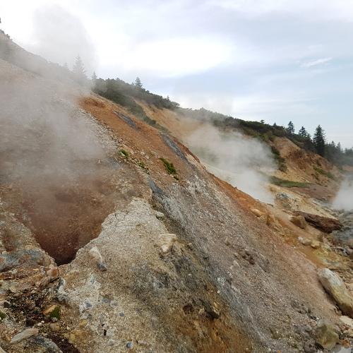 Photo #3998303