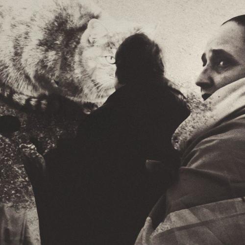Photo #3998466