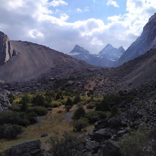 Photo #3998472