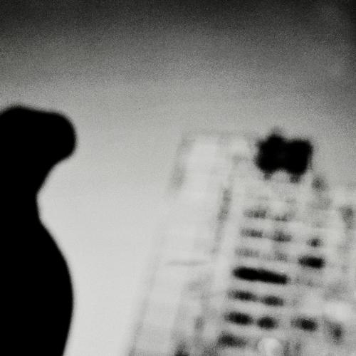 Photo #3998482