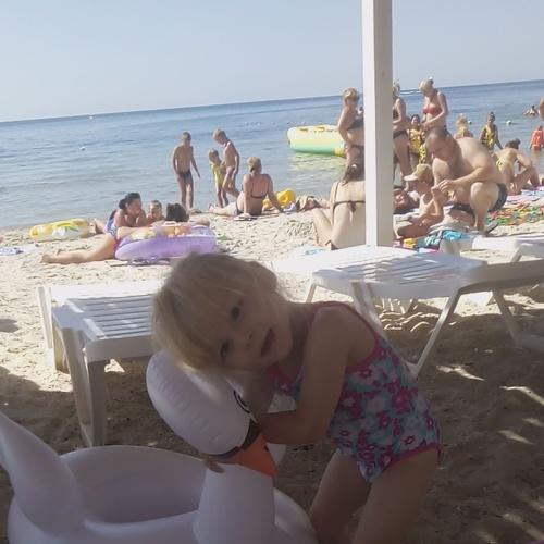 Photo #3998537
