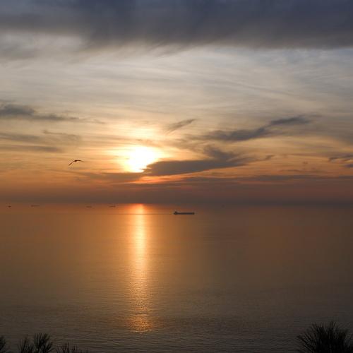 The seagull and the ship were separated.