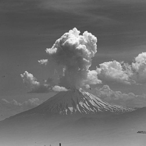 Photo #3999501