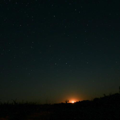 Photo #3999532