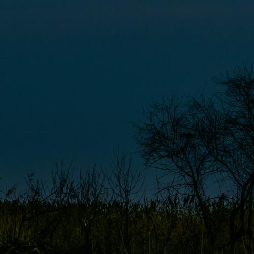 Photo #3999542