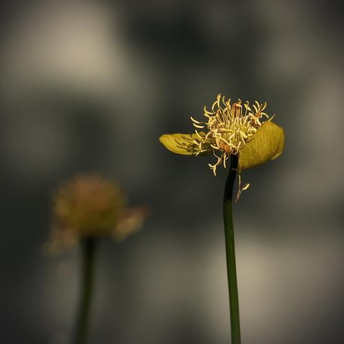 Photo #3999736