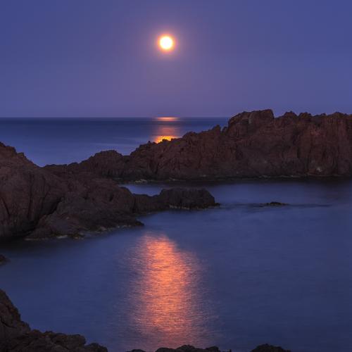Photo #3999924