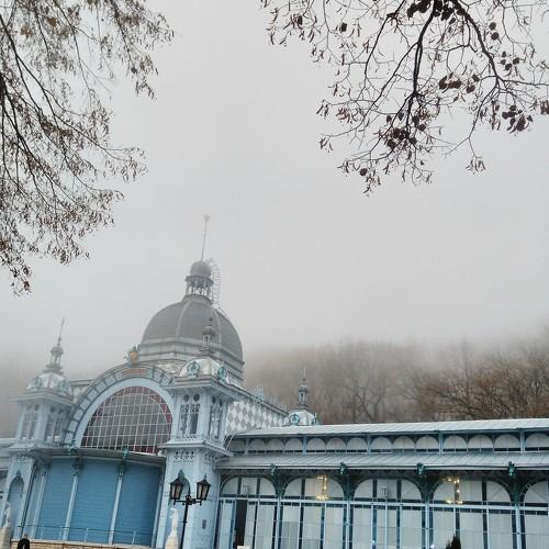 Photo #4000558