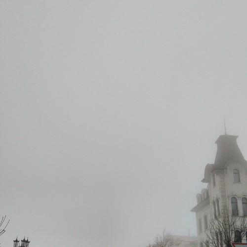 Photo #4000568