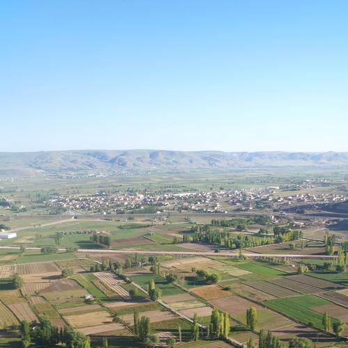 Photo #4000604