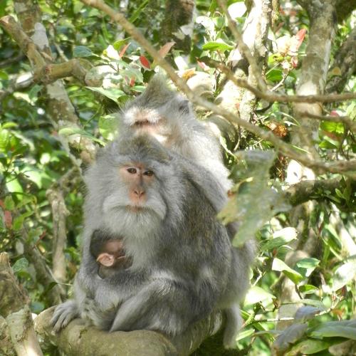 Photo #4000639