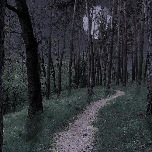 Photo #4000806