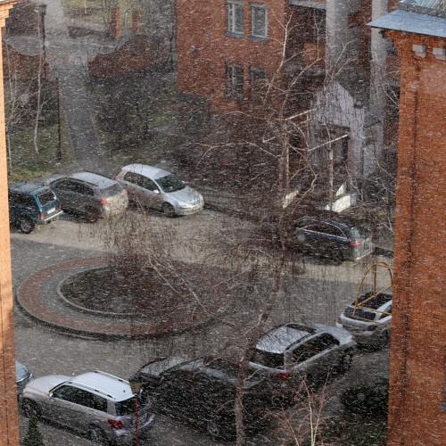 Photo #4000853