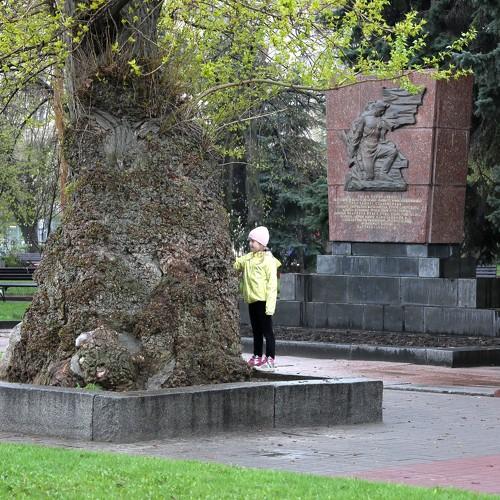 Photo #4000868