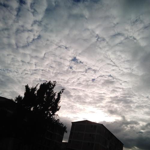 Photo #4000970