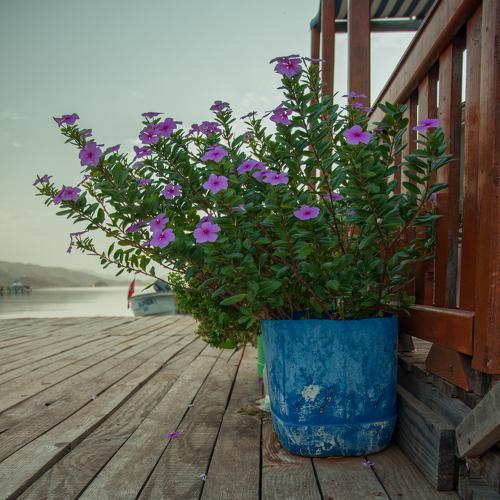 Photo #4000998