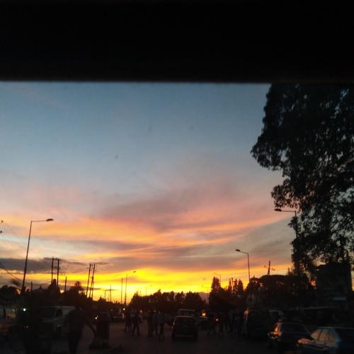 Photo #4001070