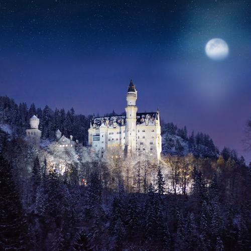 Photo #4001087