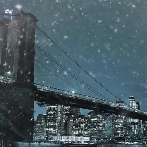 Photo #4001131