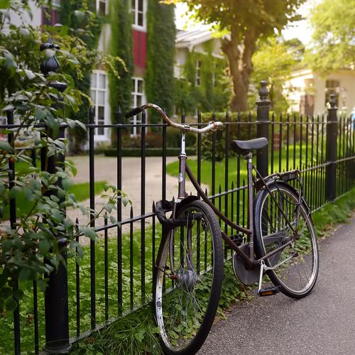 Photo #4001135