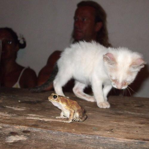 Photo #4001191