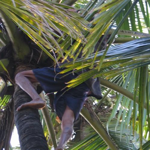 Photo #4001255