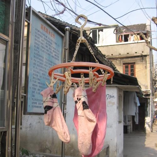 Photo #4001306