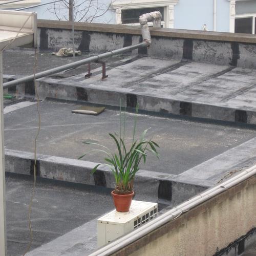 Photo #4001318