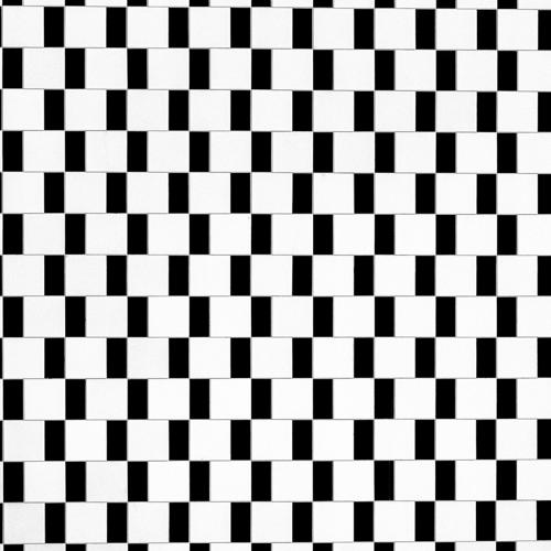Optical Illusions