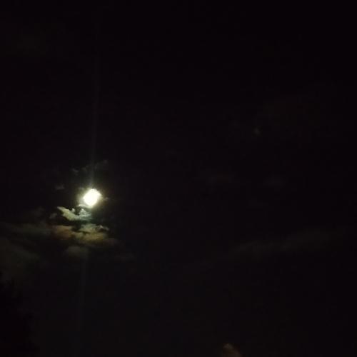 Photo #4002643
