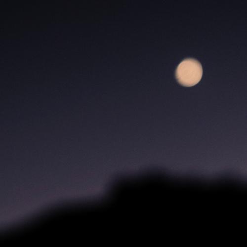 Photo #4002645