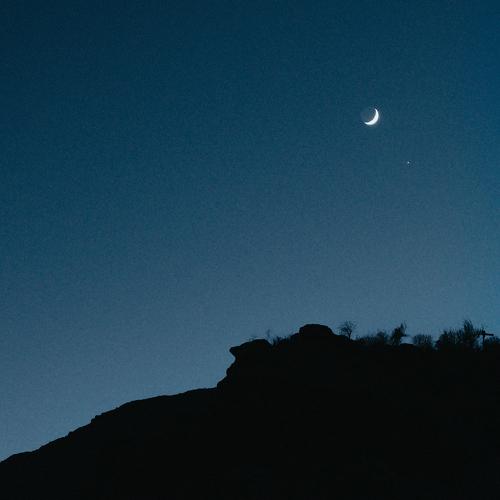 Photo #4002646