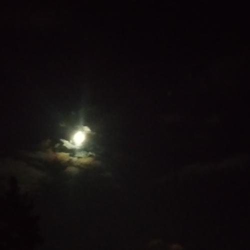 Photo #4002650